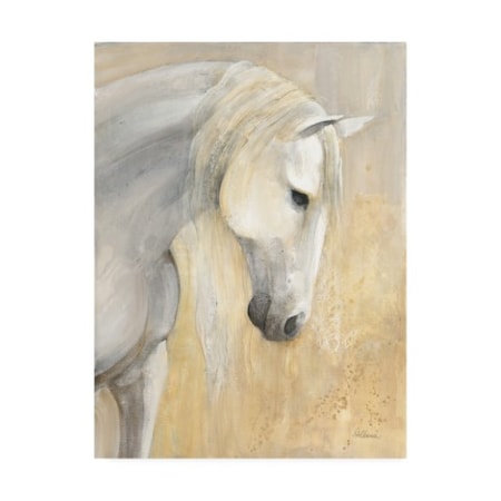 Albena Hristova 'Calm White Horses' Canvas Art,35x47